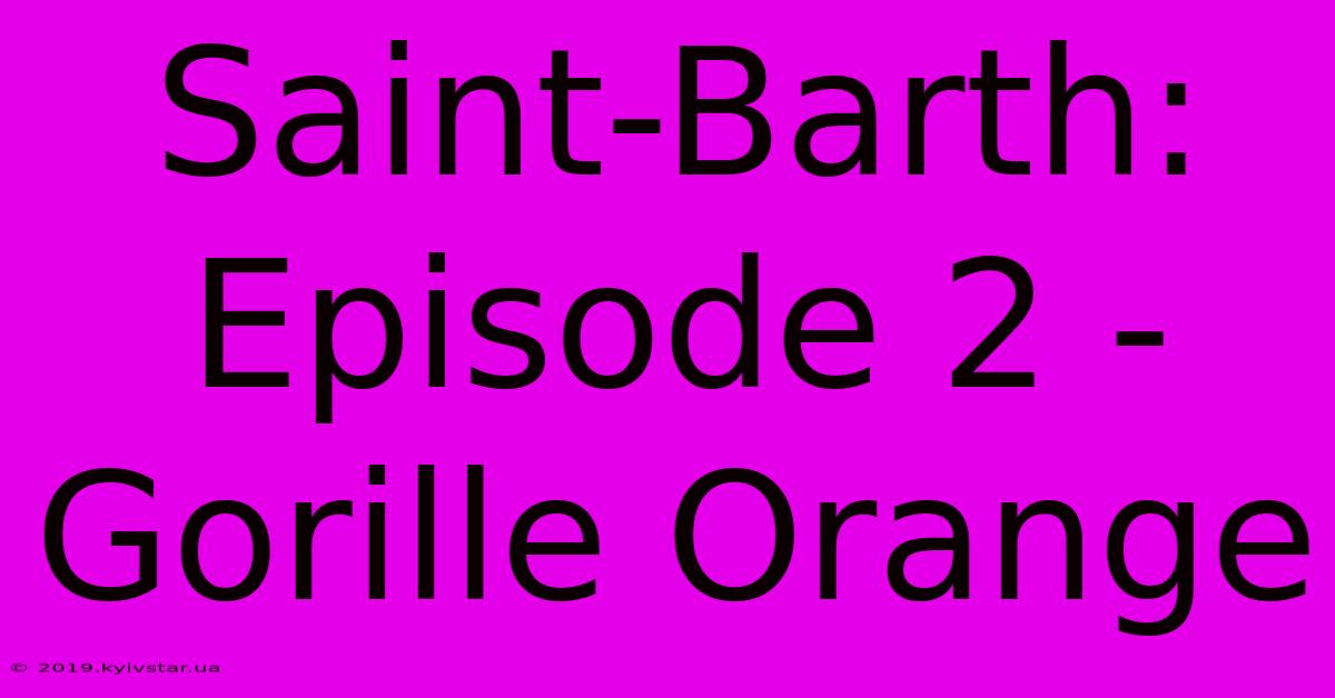 Saint-Barth: Episode 2 - Gorille Orange