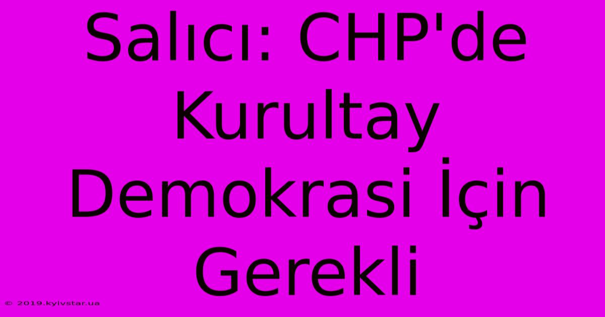 Salıcı: CHP'de Kurultay Demokrasi İçin Gerekli 