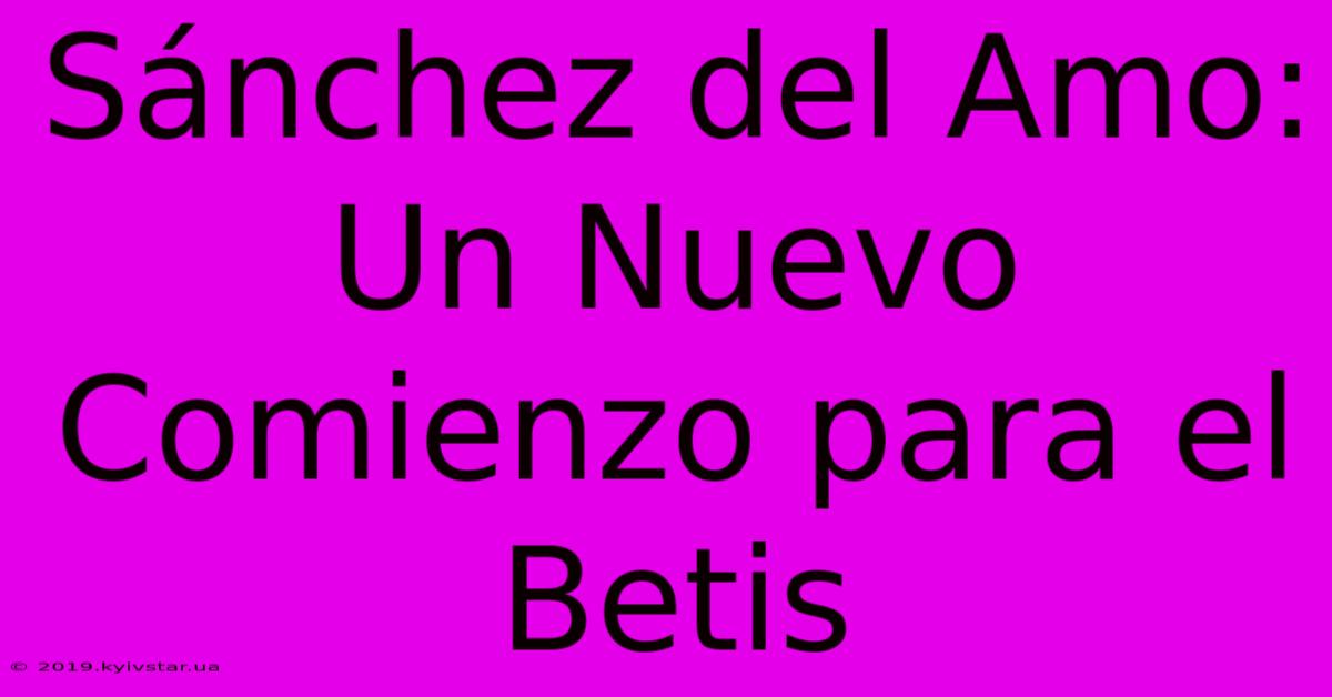 Sánchez Del Amo: Un Nuevo Comienzo Para El Betis