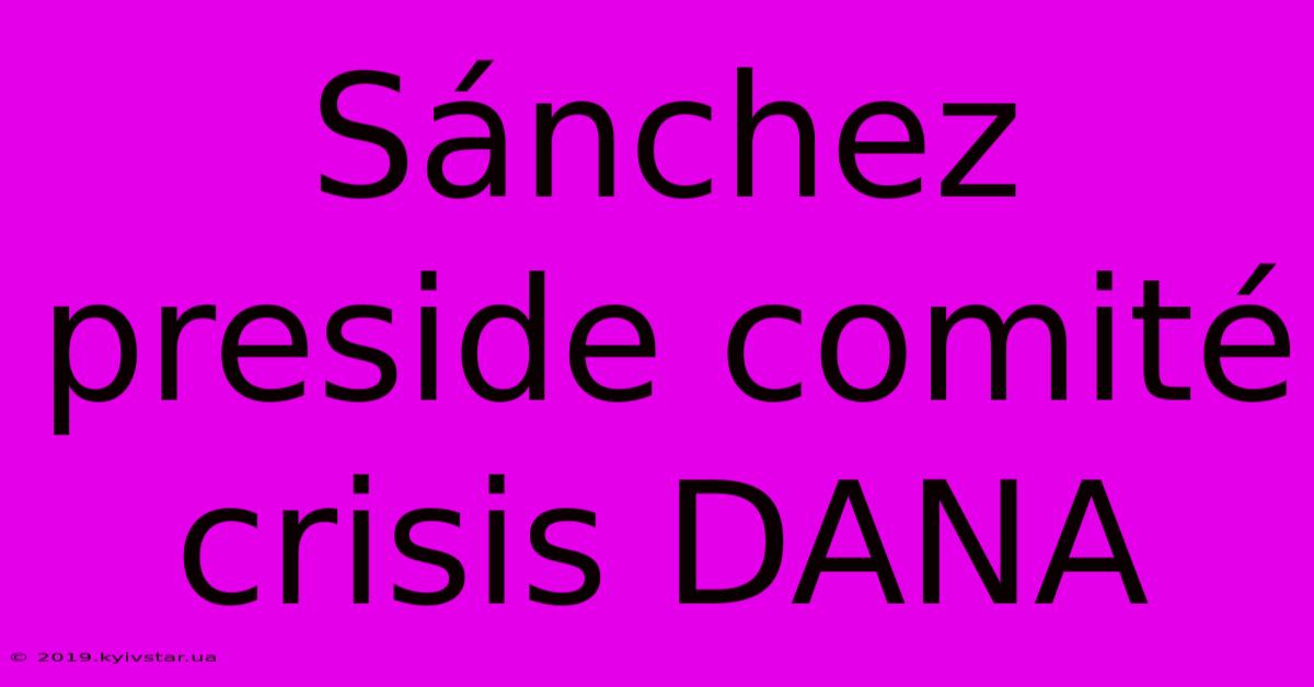 Sánchez Preside Comité Crisis DANA