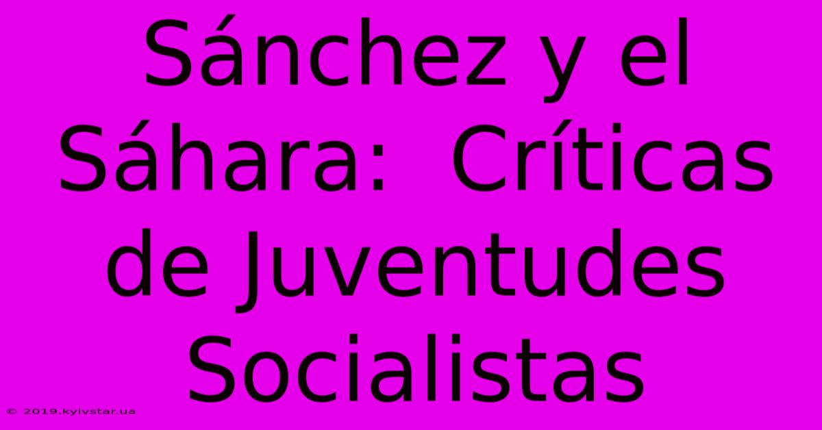 Sánchez Y El Sáhara:  Críticas De Juventudes Socialistas