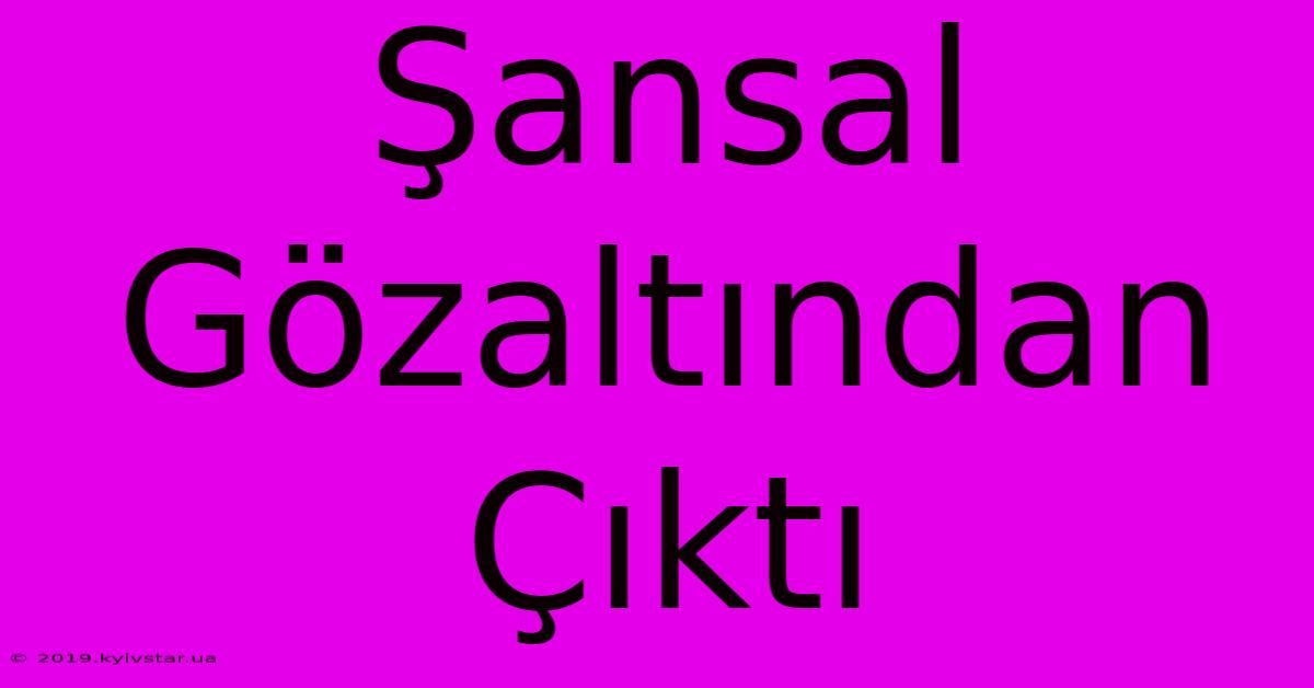 Şansal Gözaltından Çıktı