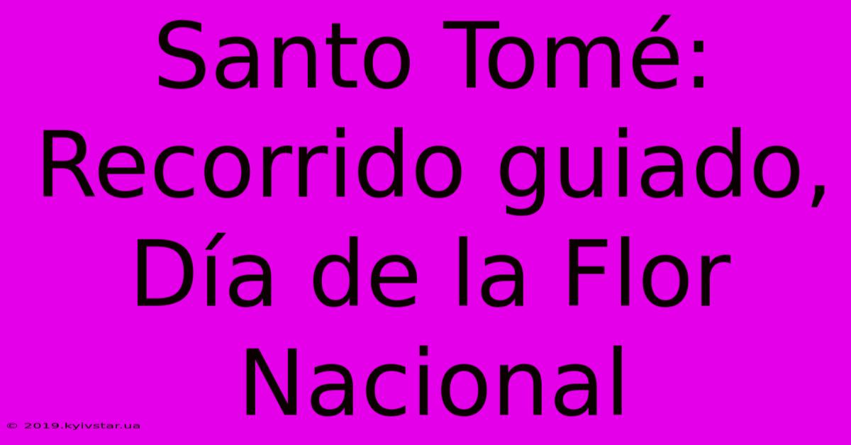 Santo Tomé: Recorrido Guiado, Día De La Flor Nacional