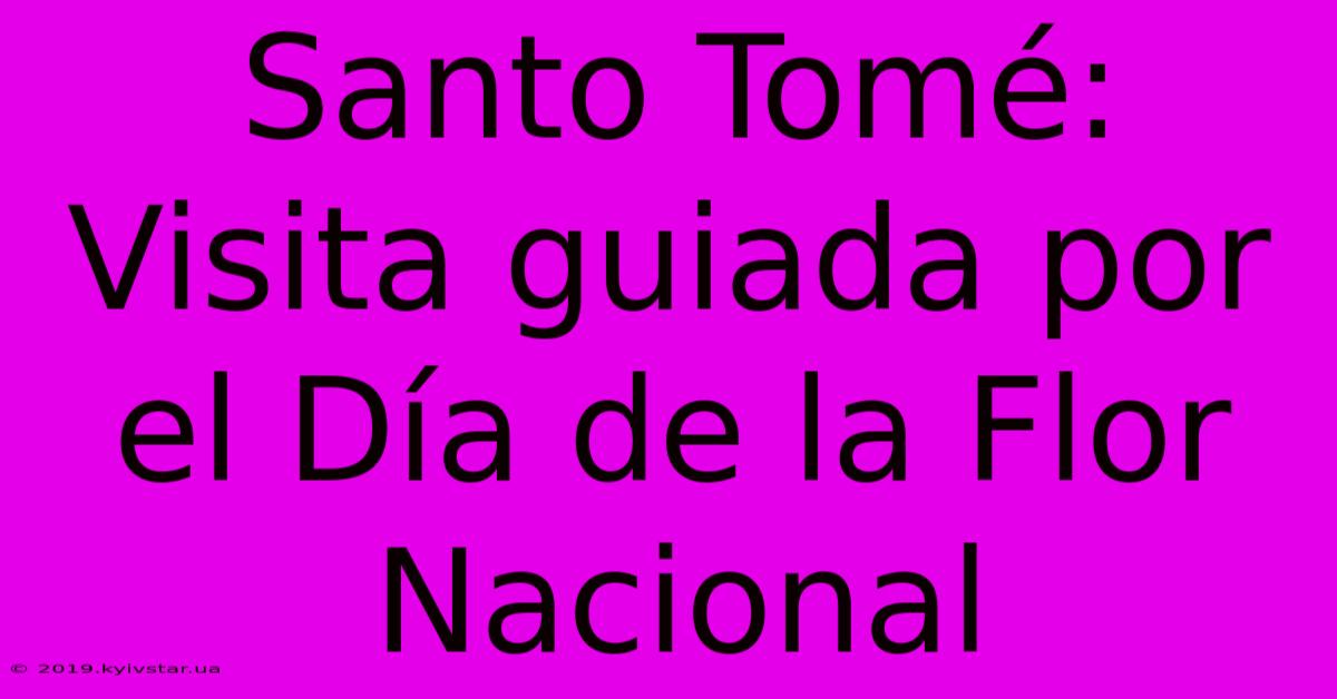 Santo Tomé: Visita Guiada Por El Día De La Flor Nacional