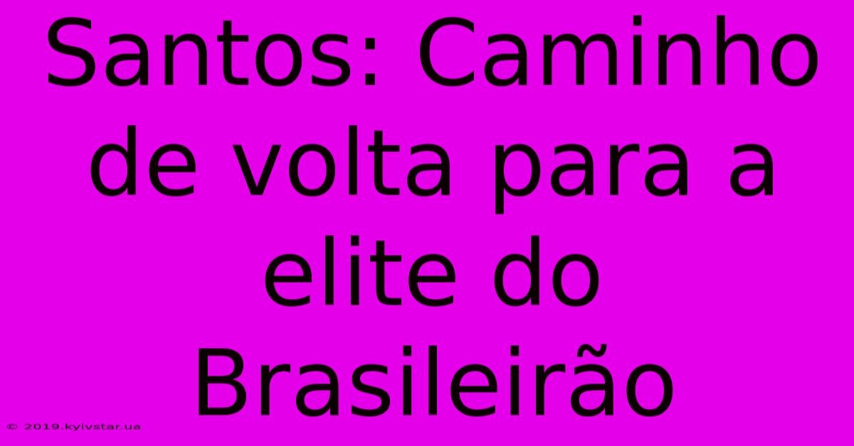 Santos: Caminho De Volta Para A Elite Do Brasileirão