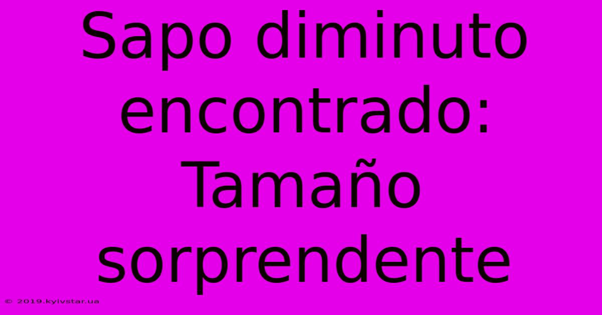 Sapo Diminuto Encontrado: Tamaño Sorprendente