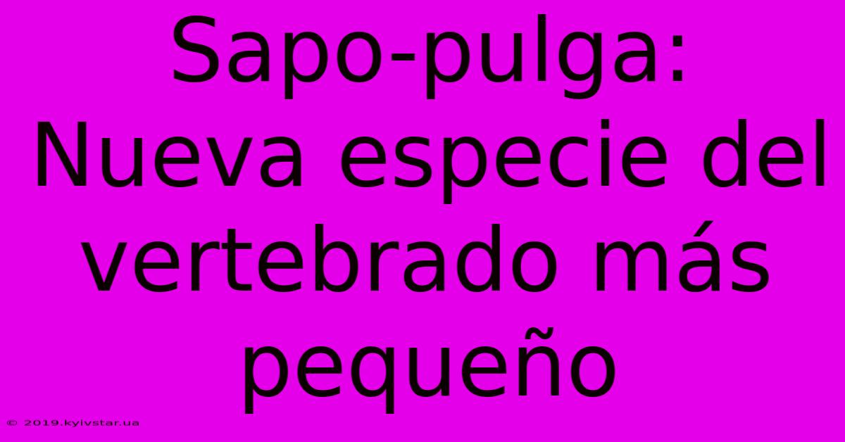 Sapo-pulga: Nueva Especie Del Vertebrado Más Pequeño