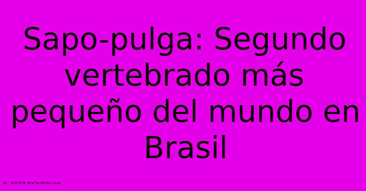 Sapo-pulga: Segundo Vertebrado Más Pequeño Del Mundo En Brasil