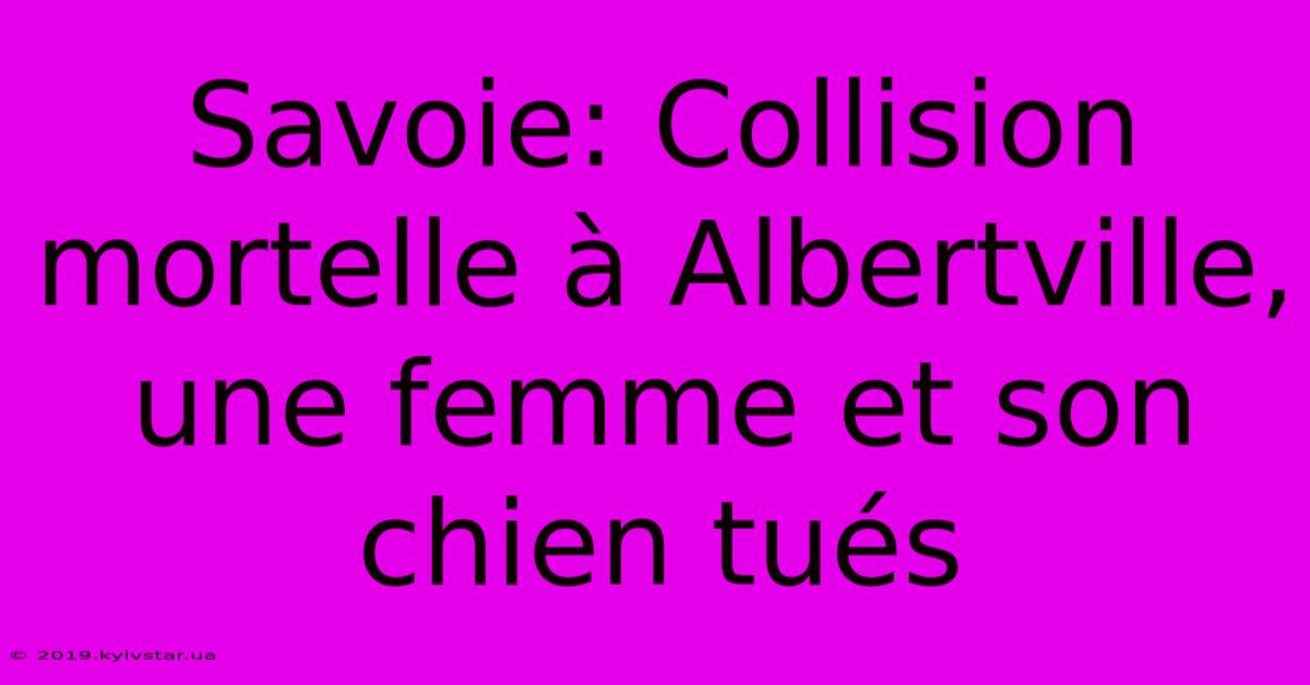 Savoie: Collision Mortelle À Albertville, Une Femme Et Son Chien Tués