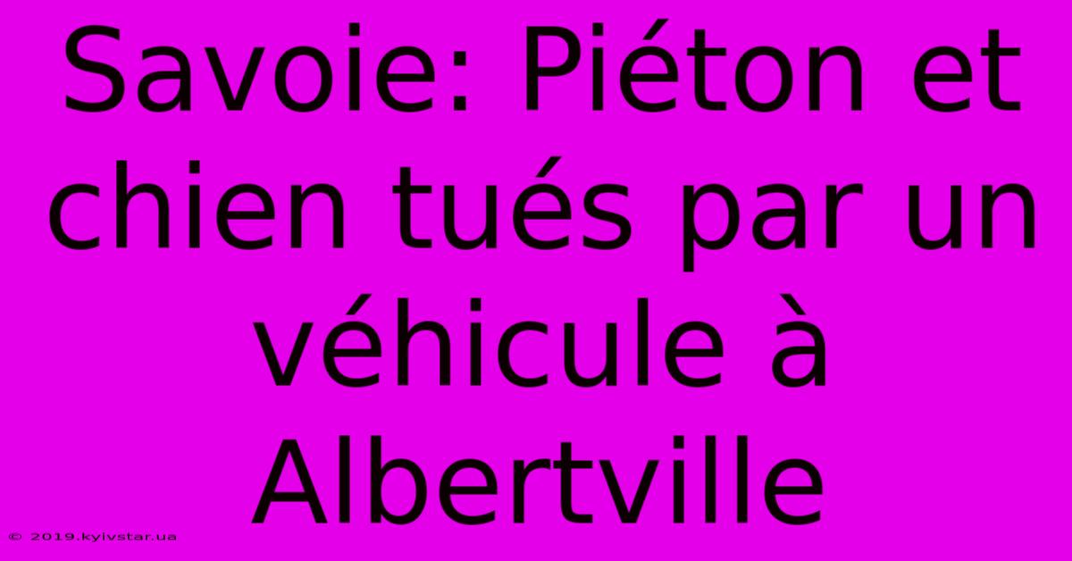 Savoie: Piéton Et Chien Tués Par Un Véhicule À Albertville 