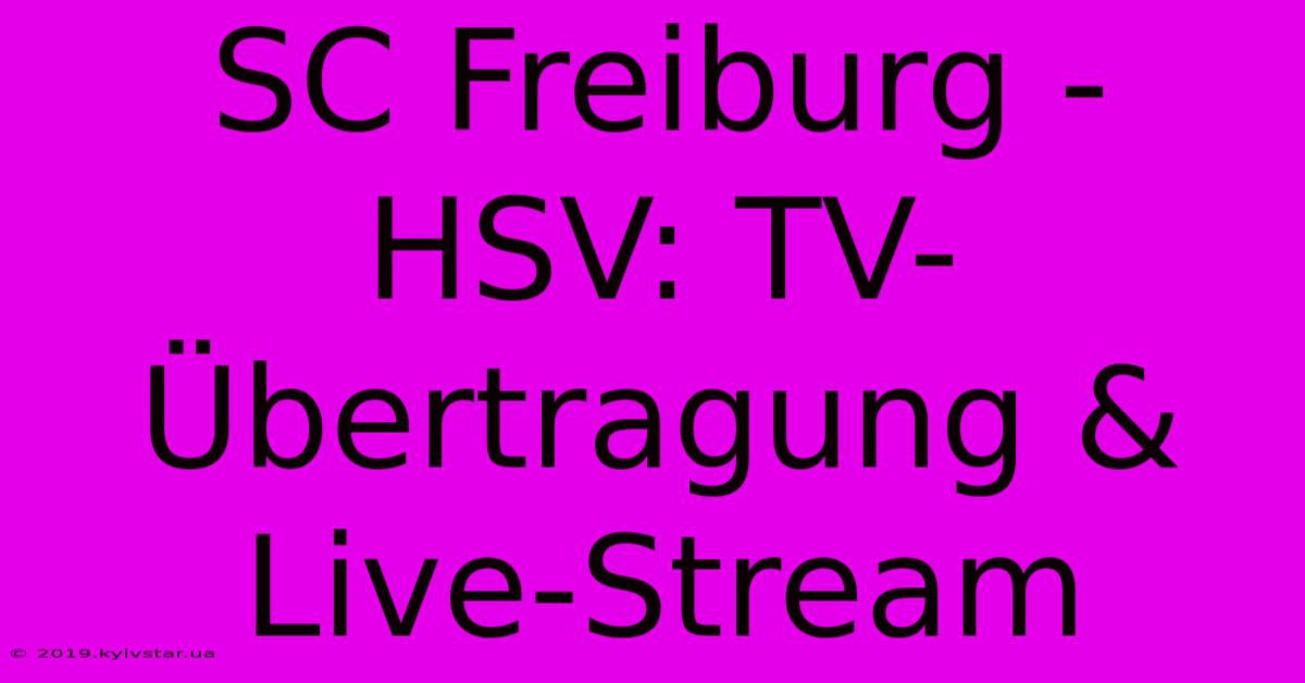 SC Freiburg - HSV: TV-Übertragung & Live-Stream