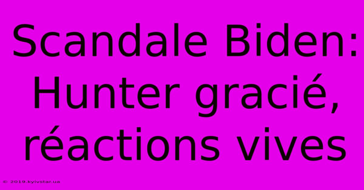 Scandale Biden:  Hunter Gracié, Réactions Vives