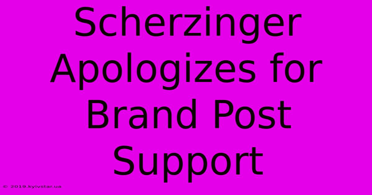 Scherzinger Apologizes For Brand Post Support