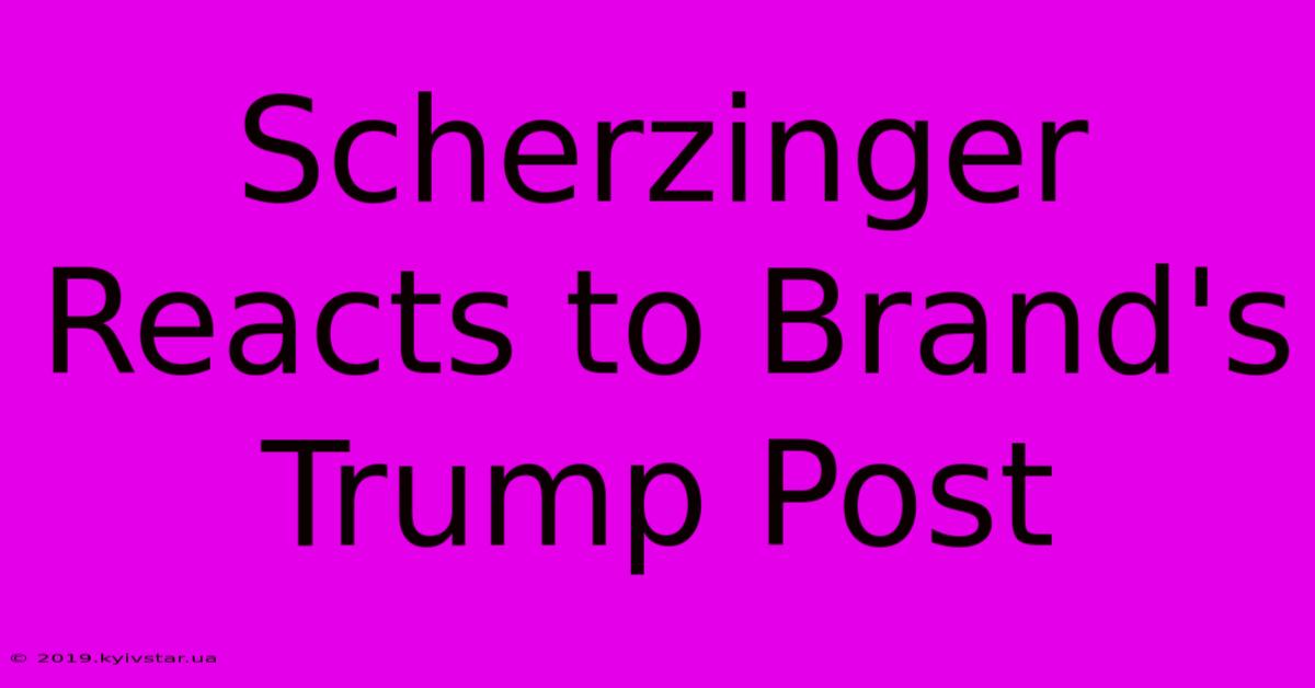 Scherzinger Reacts To Brand's Trump Post