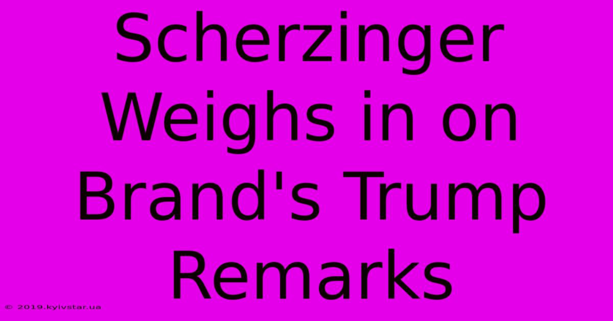 Scherzinger Weighs In On Brand's Trump Remarks 