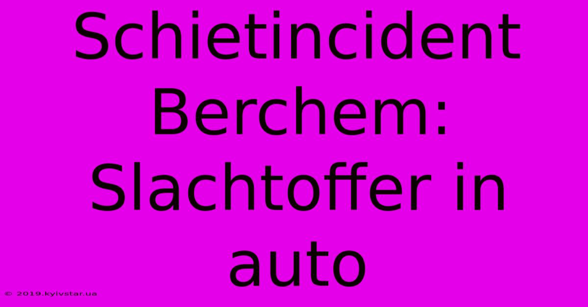 Schietincident Berchem: Slachtoffer In Auto