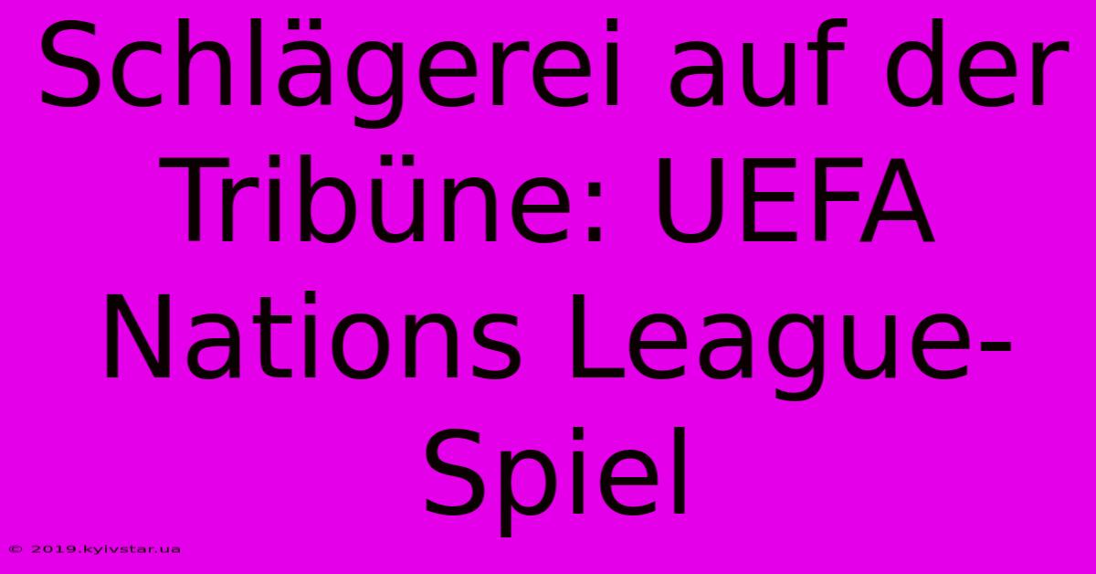 Schlägerei Auf Der Tribüne: UEFA Nations League-Spiel 