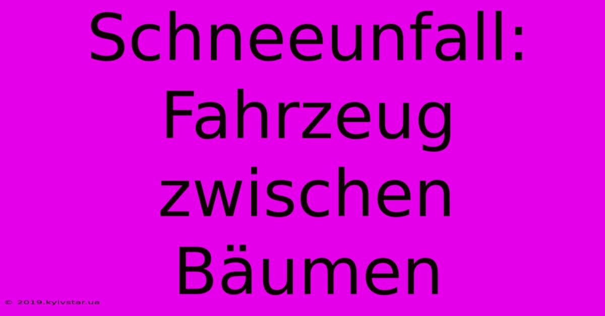 Schneeunfall: Fahrzeug Zwischen Bäumen