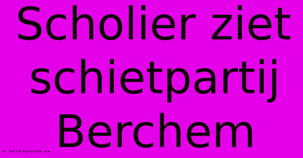 Scholier Ziet Schietpartij Berchem