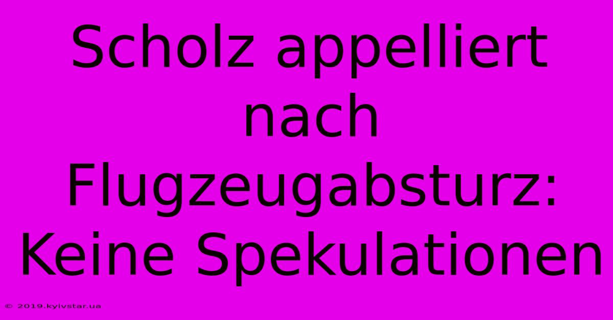 Scholz Appelliert Nach Flugzeugabsturz: Keine Spekulationen