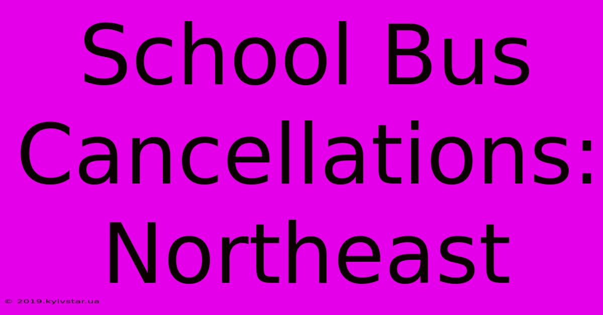 School Bus Cancellations: Northeast