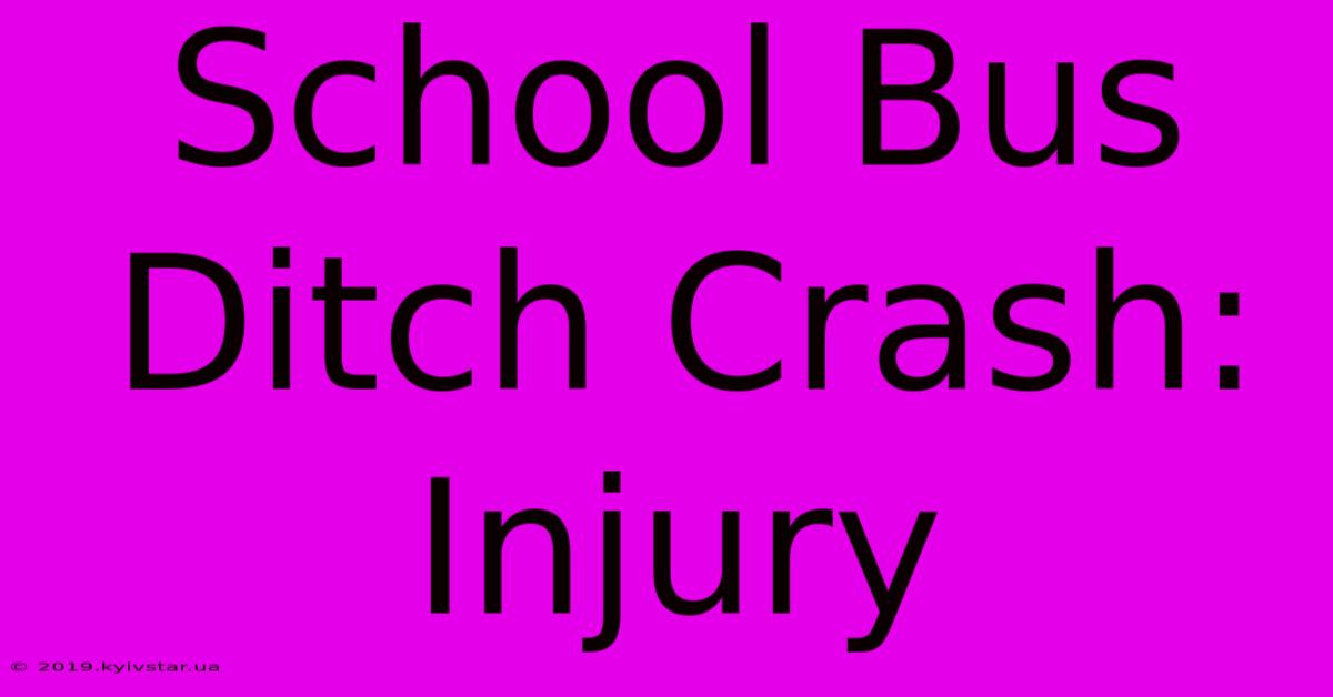 School Bus Ditch Crash: Injury