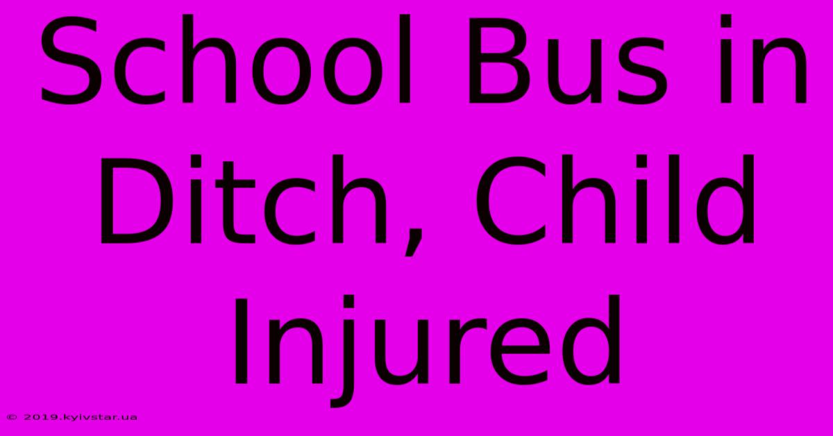 School Bus In Ditch, Child Injured