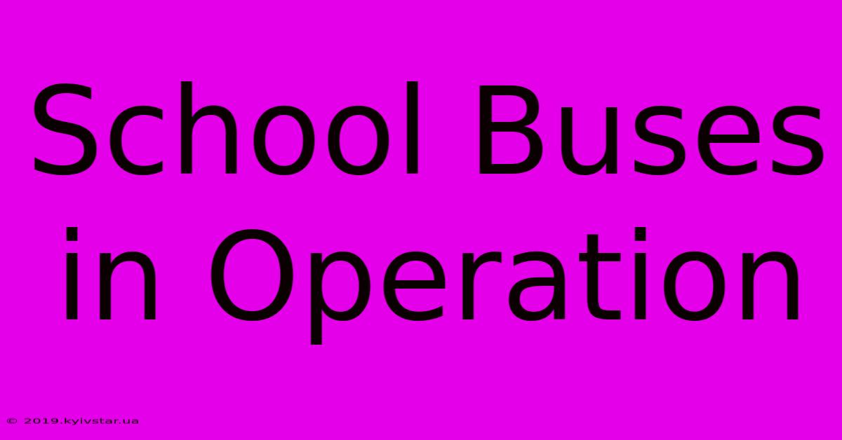 School Buses In Operation