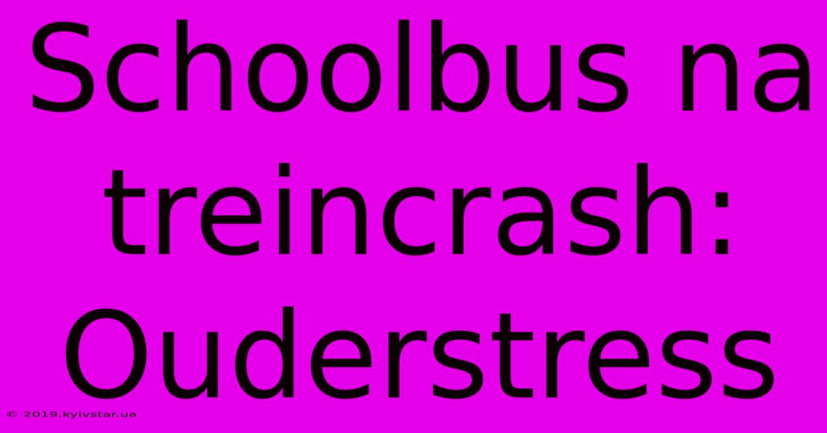 Schoolbus Na Treincrash: Ouderstress