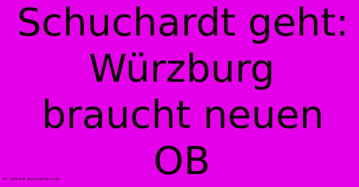 Schuchardt Geht: Würzburg Braucht Neuen OB