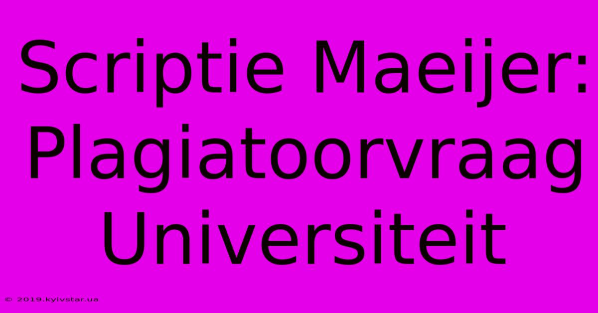 Scriptie Maeijer: Plagiatoorvraag Universiteit