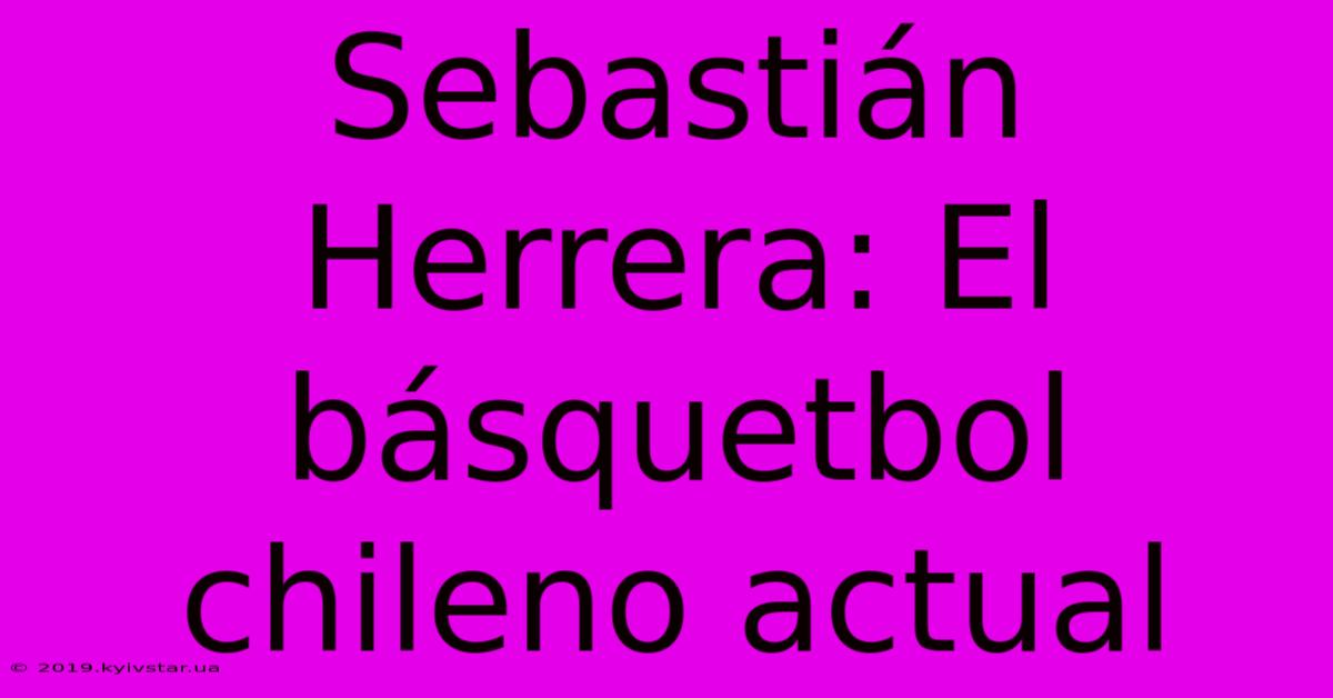 Sebastián Herrera: El Básquetbol Chileno Actual