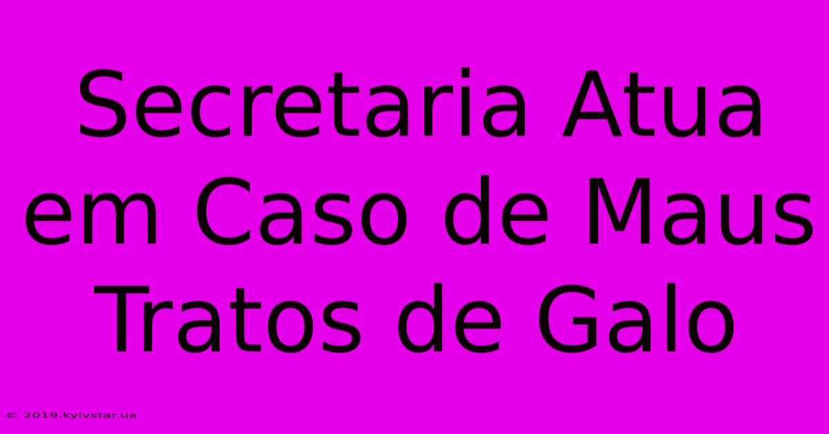 Secretaria Atua Em Caso De Maus Tratos De Galo