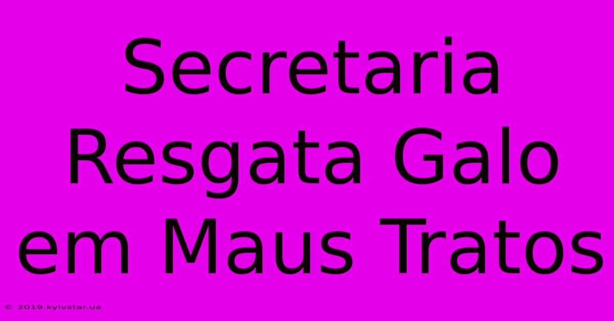 Secretaria Resgata Galo Em Maus Tratos