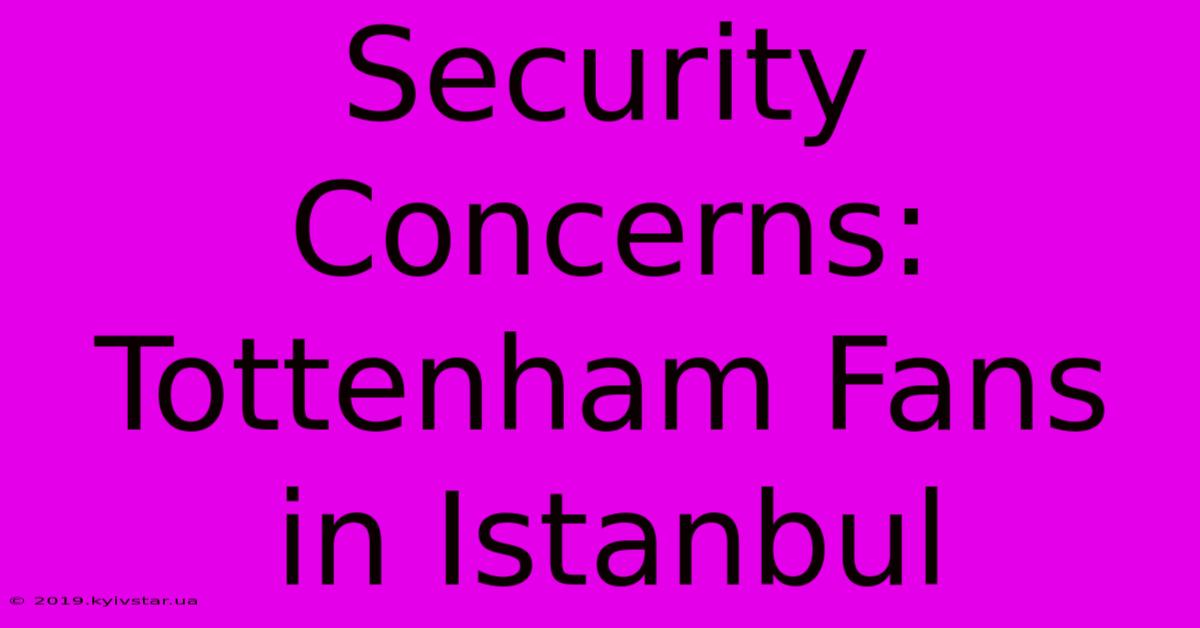 Security Concerns: Tottenham Fans In Istanbul