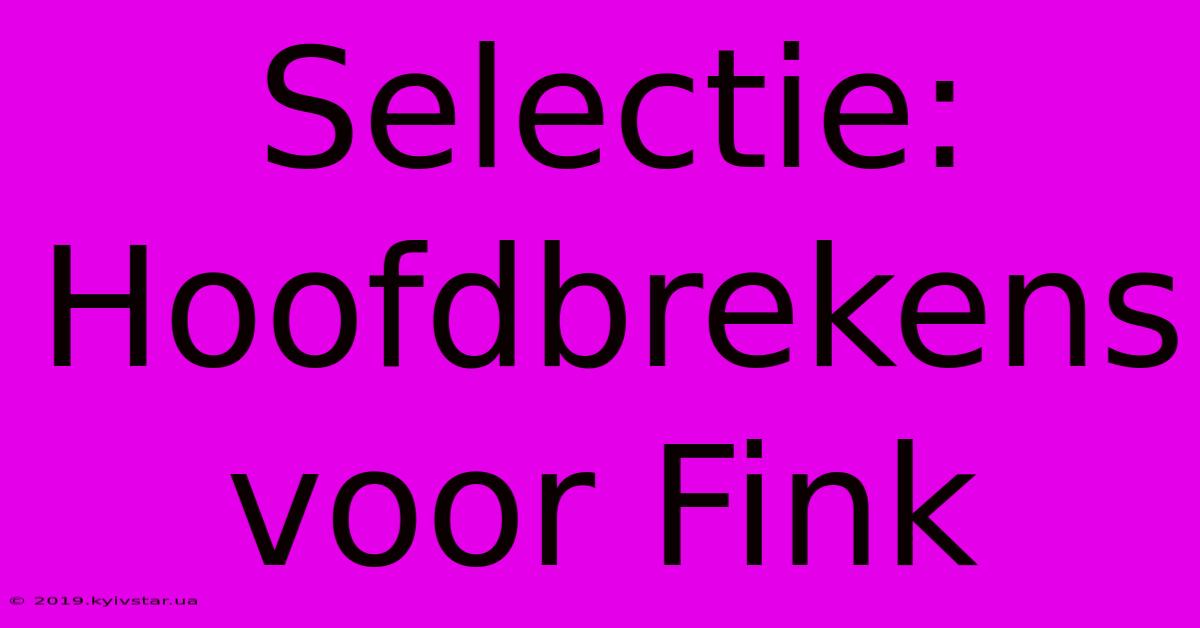 Selectie: Hoofdbrekens Voor Fink