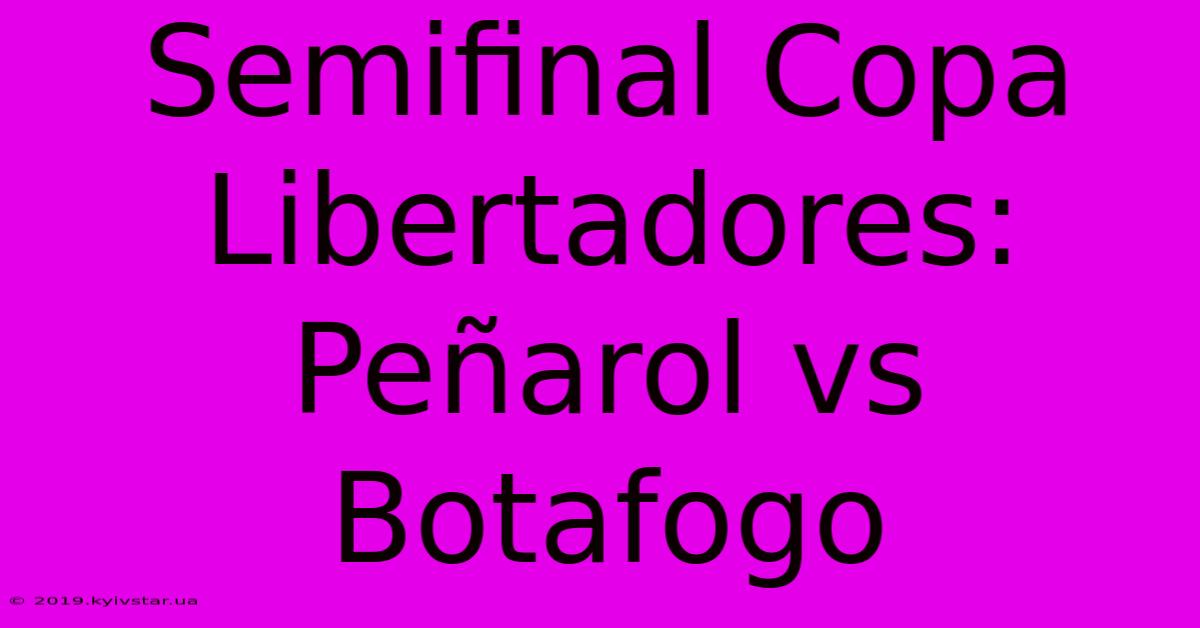 Semifinal Copa Libertadores: Peñarol Vs Botafogo