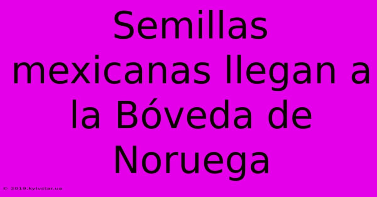 Semillas Mexicanas Llegan A La Bóveda De Noruega