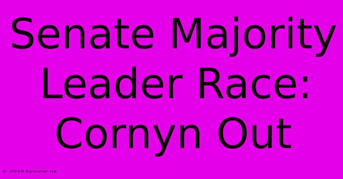 Senate Majority Leader Race: Cornyn Out