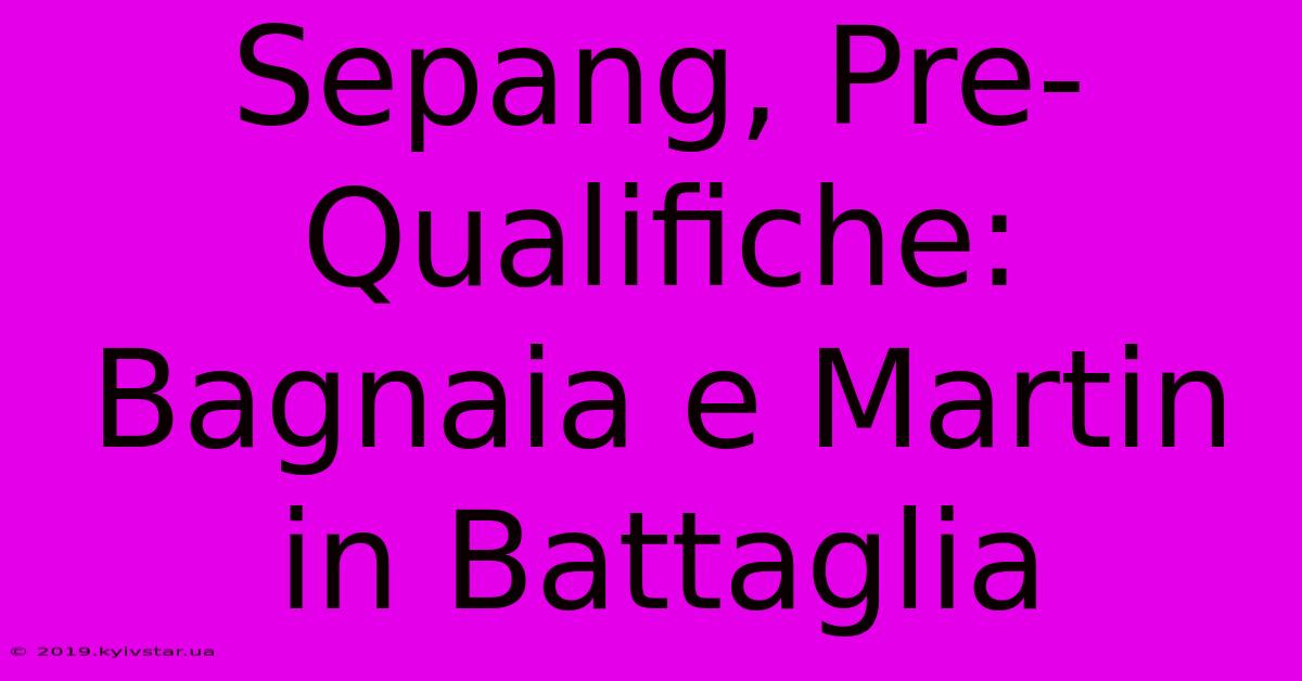 Sepang, Pre-Qualifiche: Bagnaia E Martin In Battaglia