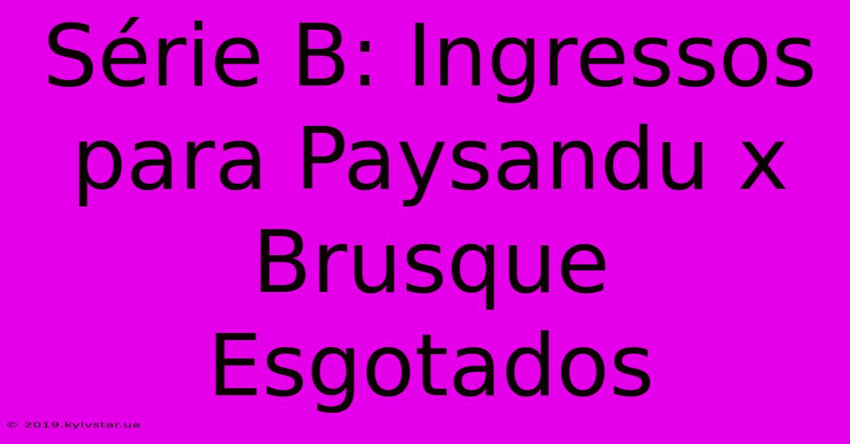 Série B: Ingressos Para Paysandu X Brusque Esgotados