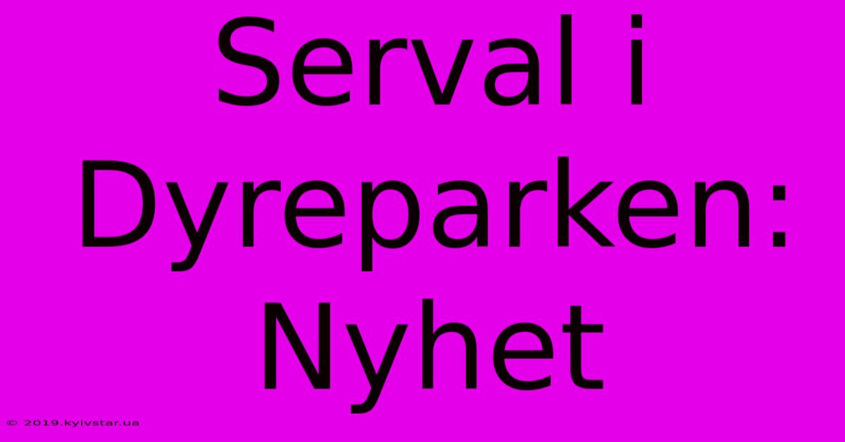 Serval I Dyreparken: Nyhet