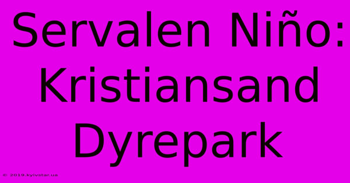 Servalen Niño: Kristiansand Dyrepark