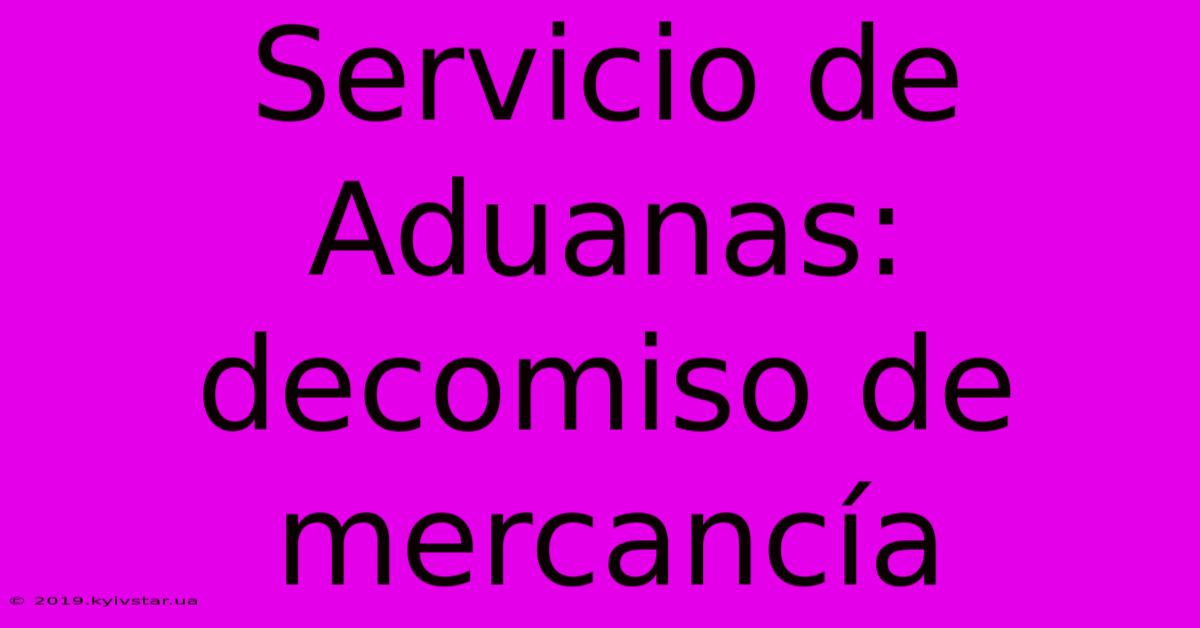 Servicio De Aduanas: Decomiso De Mercancía