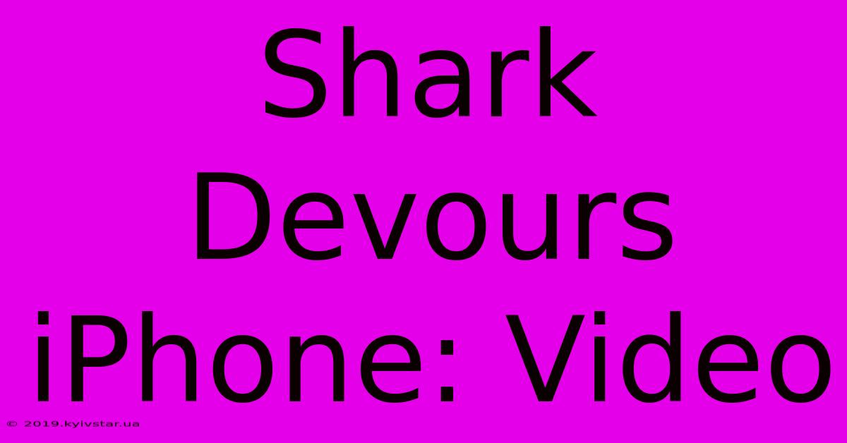 Shark Devours IPhone: Video