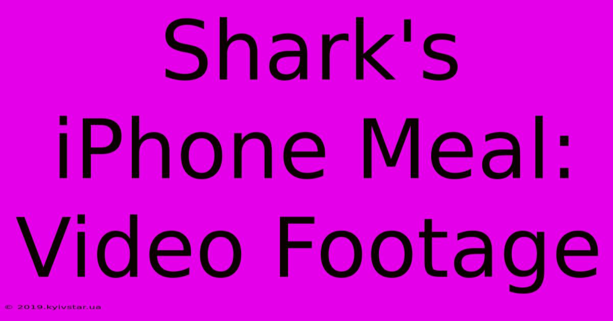 Shark's IPhone Meal: Video Footage