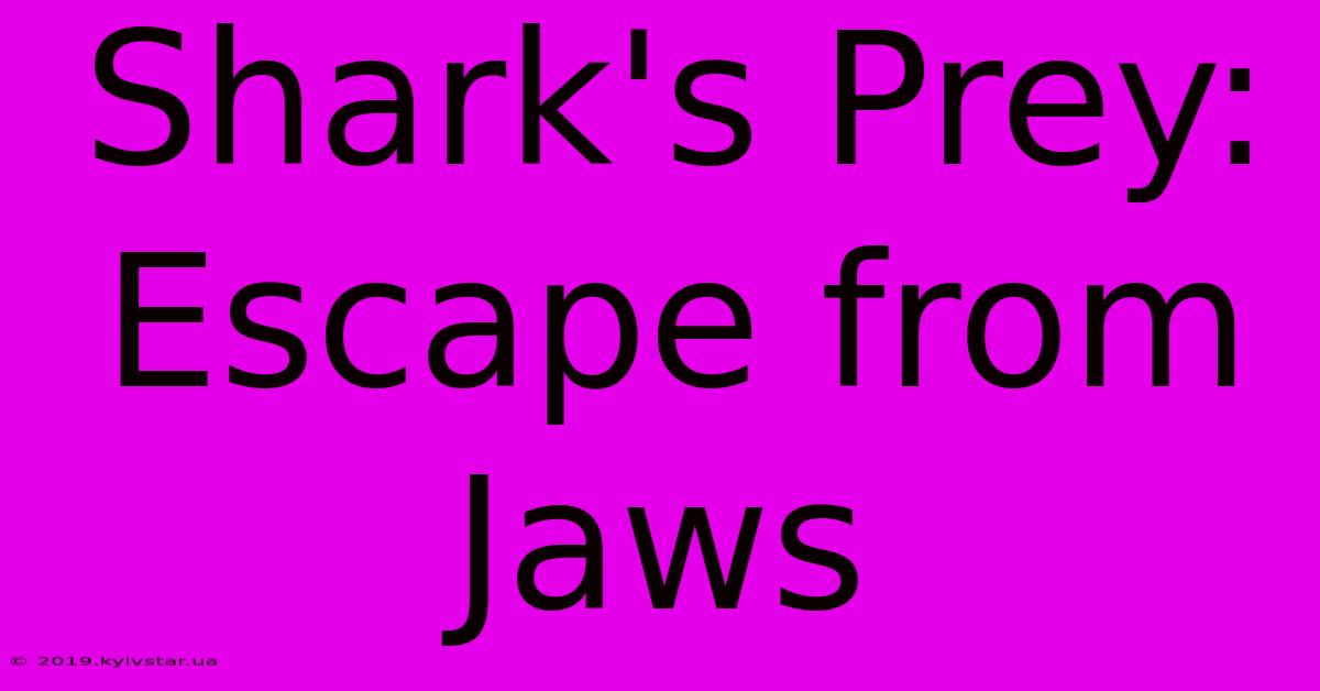 Shark's Prey: Escape From Jaws