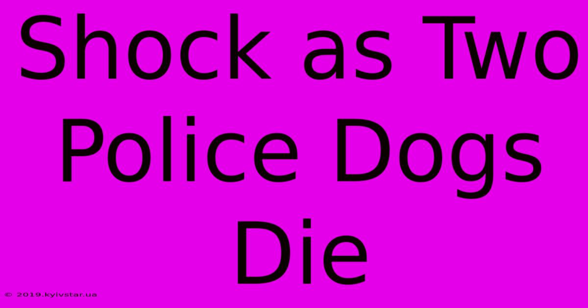 Shock As Two Police Dogs Die