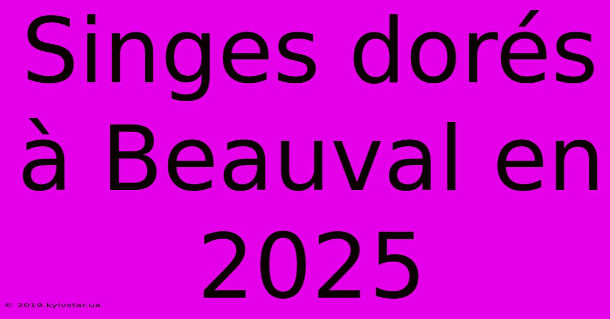 Singes Dorés À Beauval En 2025