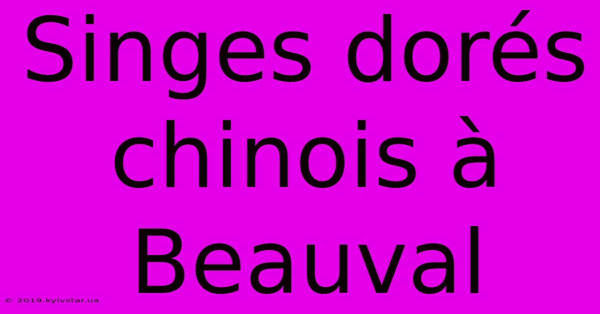 Singes Dorés Chinois À Beauval